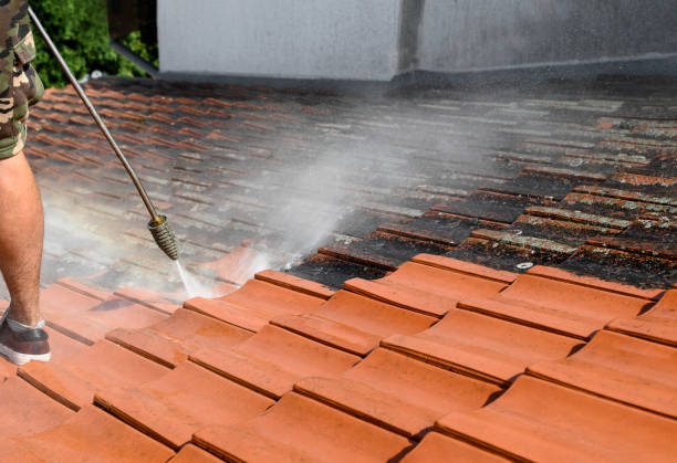 Best Residential Pressure Washing Services  in Farmersville, TX