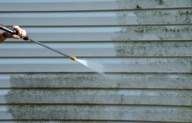 Best Affordable Pressure Washing  in Farmersville, TX
